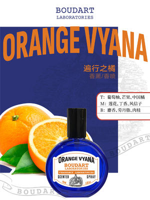 Clove Essential Oil Body Spray ORANGE VYANA Body Mist OEM Concentrated Fragrance