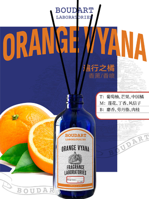 OEM Reed Diffuser Orange Flavor And Cinnamon Base Natural Glass Bottle Fragrance Perfume
