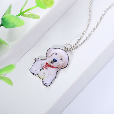 0.87in 2.2cm Custom Silver Necklaces S925 Trendy Personalized Dog Tag Necklace