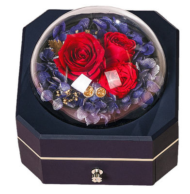 OEM Recycled 0.406kg Jewelry Gift Box Plastic 115×115×110mm