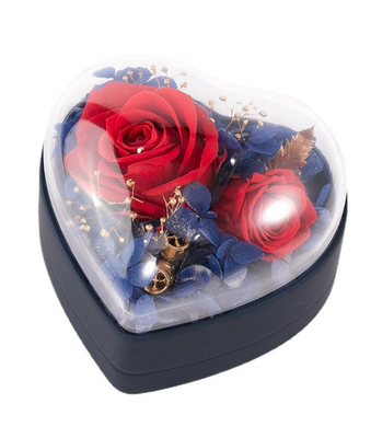 OEM Recycled 0.406kg Jewelry Gift Box Plastic 115×115×110mm