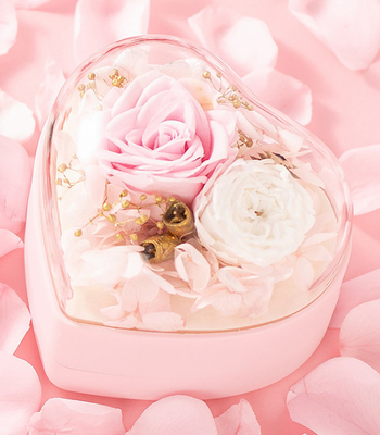 OEM Recycled 0.406kg Jewelry Gift Box Plastic 115×115×110mm